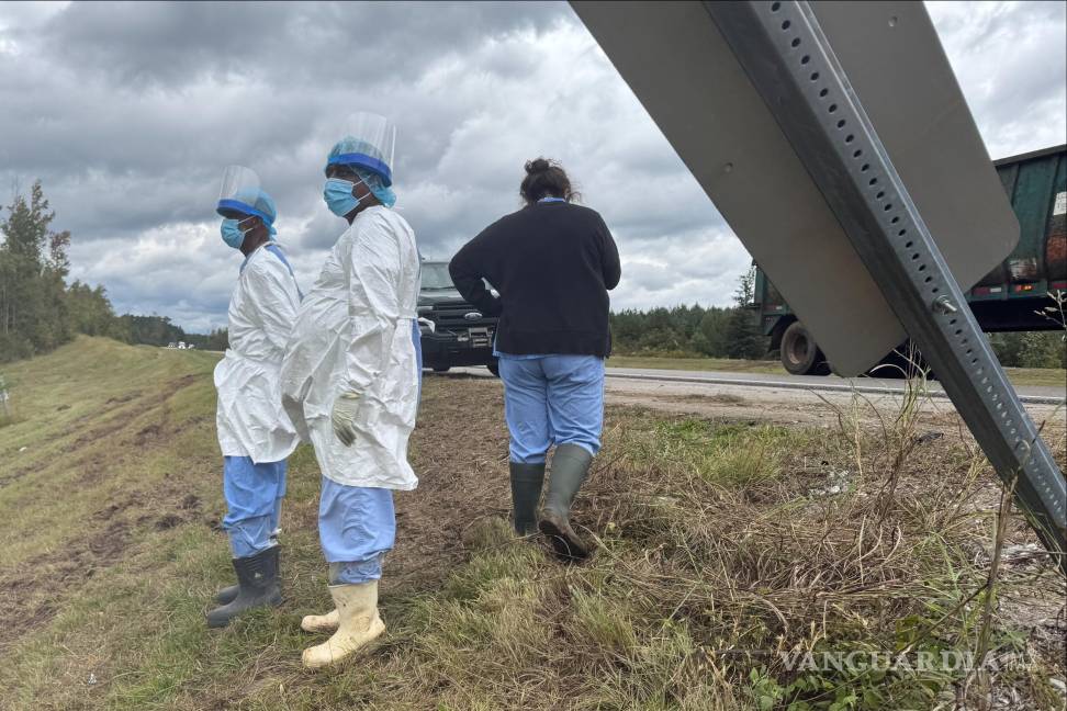 $!Personas con ropa realizan búsquedas a lo largo de una carretera en Heidelberg, Misisipi, cerca del lugar donde volcó un camión que transportaba monos.