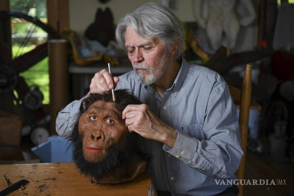 $!El paleoartista John Gurche inserta mechones individuales de cabello en un modelo masculino de Paranthropus robustus en su estudio en Trumansburg.