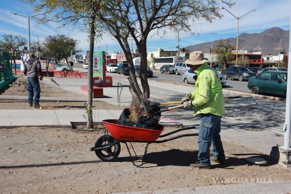 $!El alcalde Javier Díaz afirmó que estas acciones dignifican los espacios públicos.