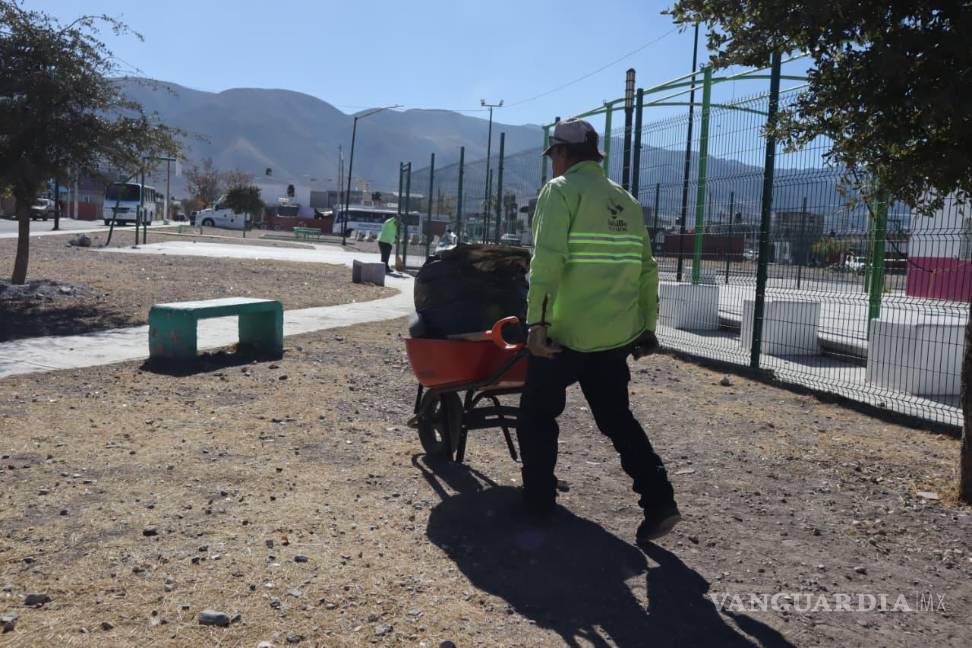 $!Se realizaron labores de limpieza profunda, deshierbe y poda en áreas verdes de la plaza.