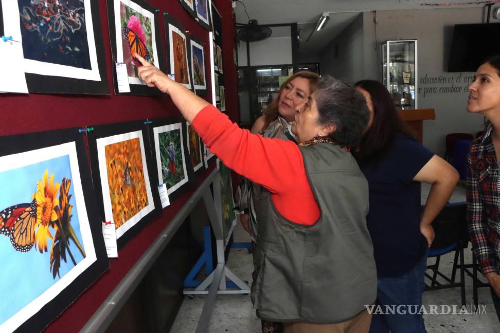 $!Fotógrafos de todo México, como Rocío Reyval Ramírez y Nereida Barrios, documentaron el recorrido de las mariposas monarca por diversos estados.