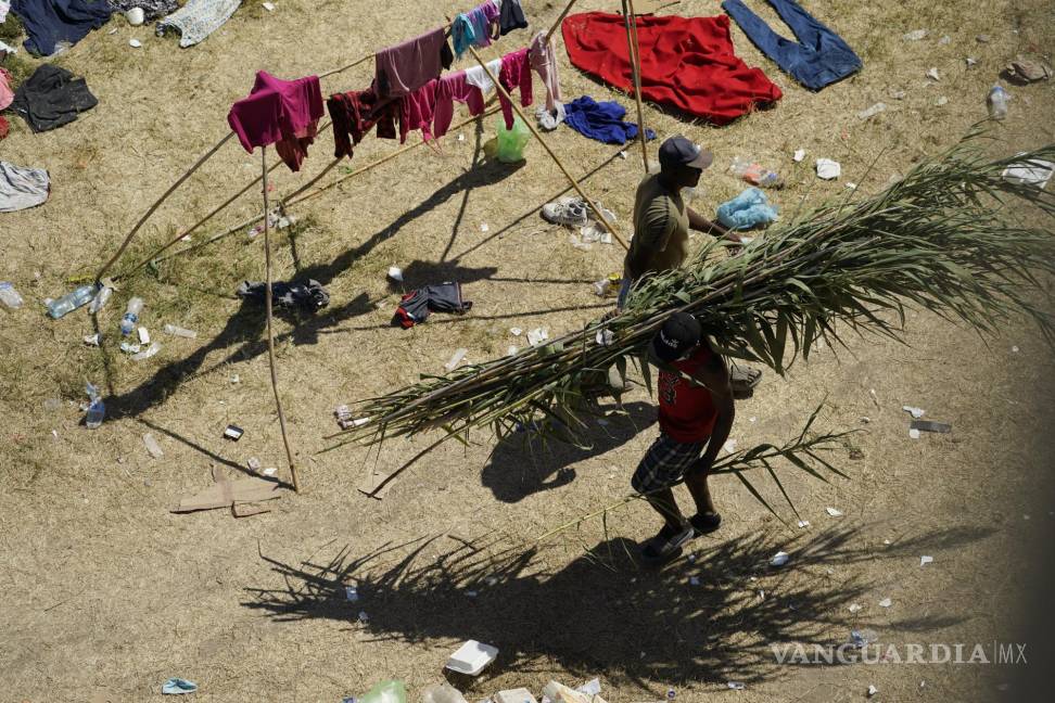 $!Los migrantes haitianos usan la caña de Carrizo para construir un refugio a lo largo del Río Grande después de cruzar a Estados Unidos desde México en Del Rio, Texas. AP/Eric Gay