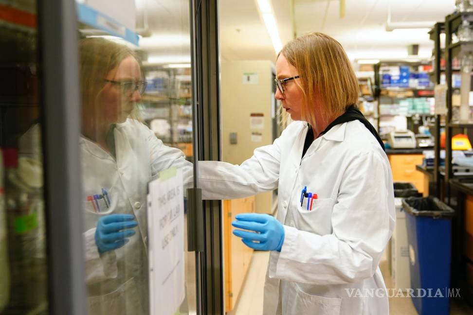 $!La científica principal Denise Cecil recupera suministros mientras trabaja en el Instituto de Vacunas contra el Cáncer de UW Medicine en Seattle.