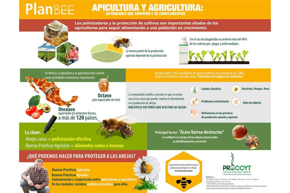 $!Monsanto y PROCCyT hacen precisiones al texto 'No hay vida sin abejas'