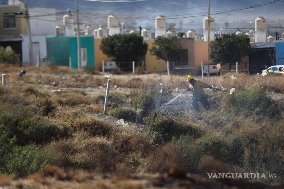 $!Las llamas consumieron matorrales y pastizales en un arroyo de la zona; el fuerte viento fue uno de los principales obstáculos para controlar el fuego.