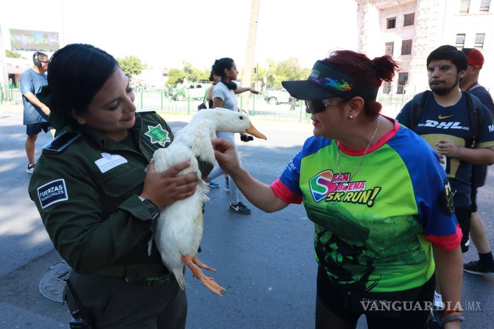 $!La Policía Ambiental montó una exhibición interactiva de animales, entre ellos un perro, un pato, una iguana y una tortuga
