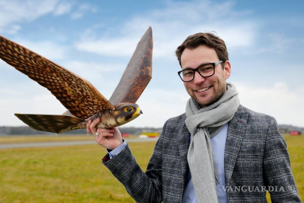 $!“Robird”, el robot halcón que cuida del aeropuerto de Edmonton en Canadá