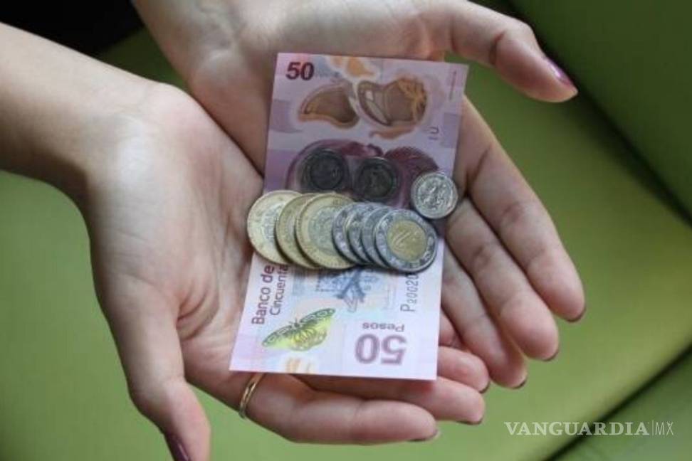 $!Salario mínimo debe ser de 133 pesos en 2020: ONG