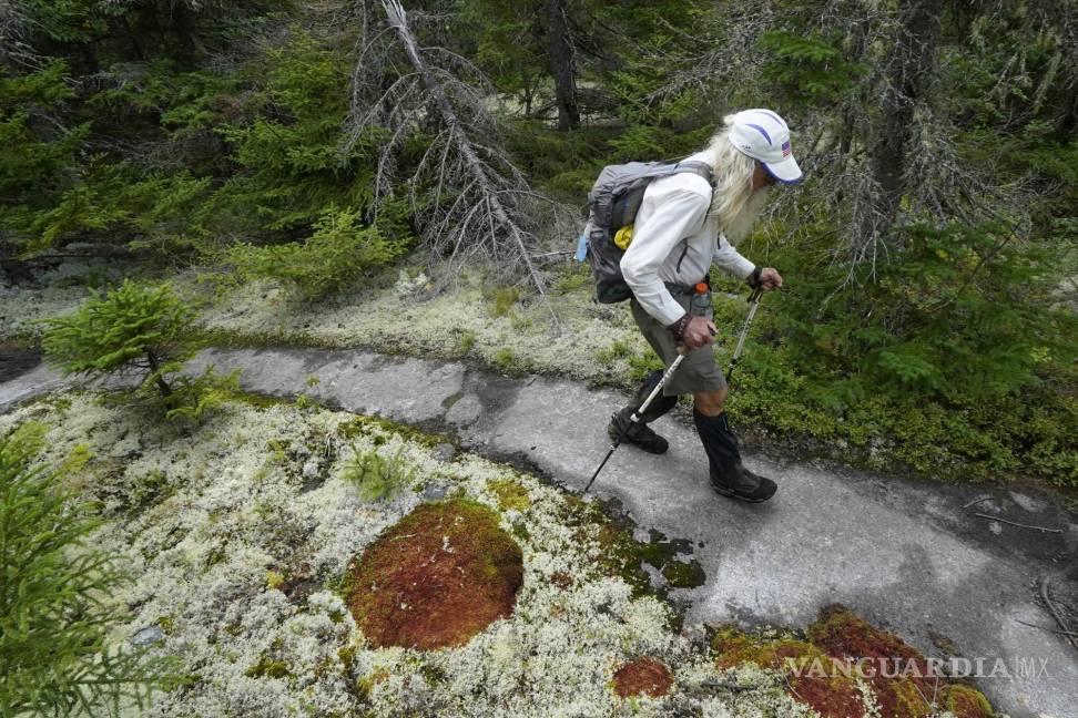 $!M.J. Eberhart, de 83 años, recorre con cuidado el sendero de los Apalaches el domingo 12 de septiembre de 2021 en Gorham, New Hampshire. Eberhart, que se conoce con el nombre de sendero Nimblewill Nomad, estableció recientemente el récord de ser la persona de mayor edad en recorrer todo el sendero de los Apalaches de 3,530 kilómetros. AP/Robert F. Bukaty