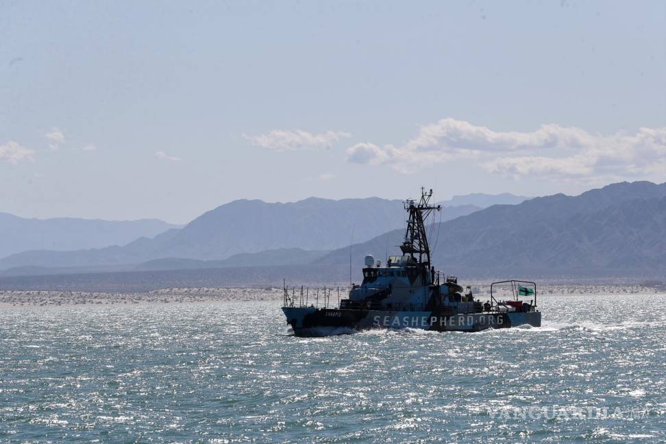 $!El buque John Paul DeJoria de Sea Sheperd el cual monitorea la zona de refugio de la vaquita marina en el Puerto de San Felipe, estado de Baja California (México).