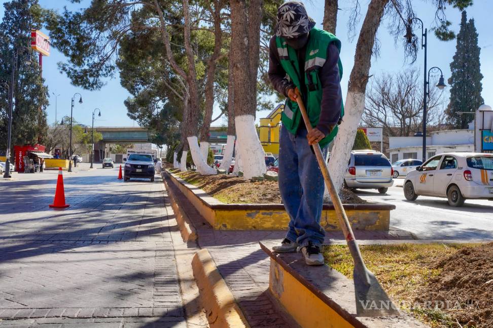 $!Las jardineras de algunos bulevares tienen mejor imagen.