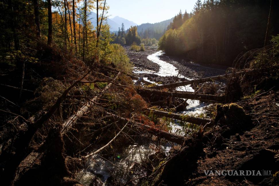 $!Los escombros llenan el lecho del arroyo Kautz Creek debido al aumento de la escorrentía glacial del Monte Rainier en Washington, el 22 de octubre de 2018.
