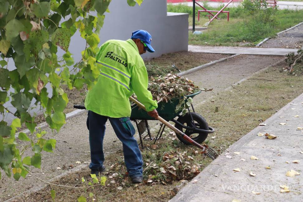 $!El Parque Olmo, en el sector nororiente, fue intervenido tras solicitudes de vecinos para mejorar su entorno.