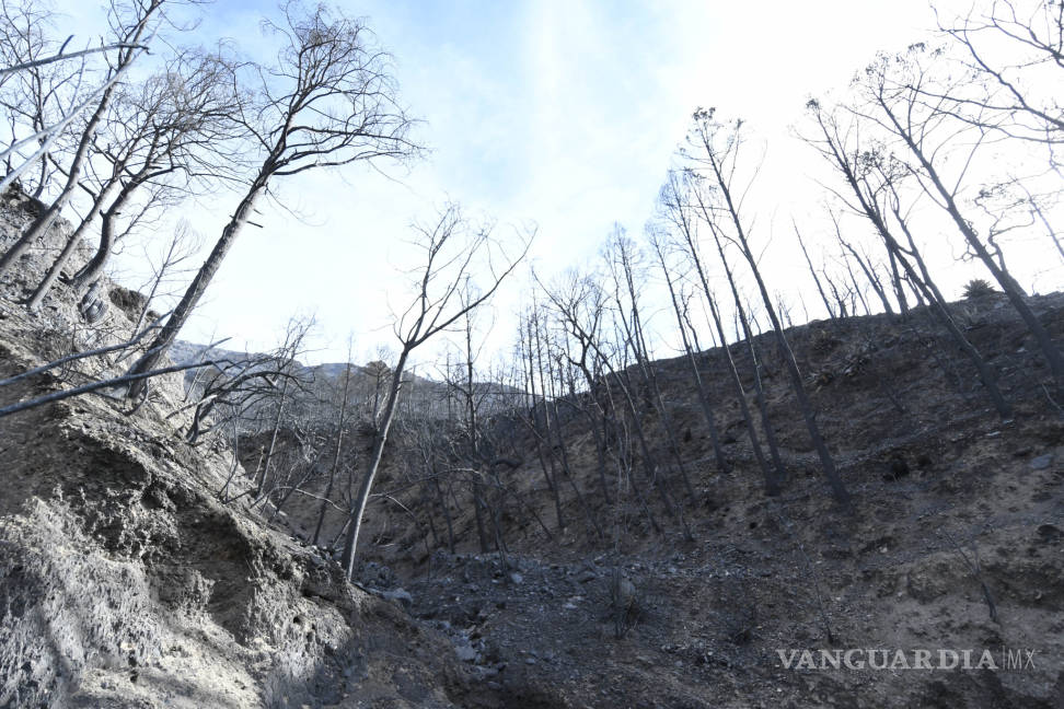 $!Esperan aeronave DC10 para combate del incendio en la Sierra de Arteaga