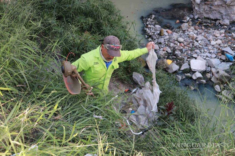 $!Estas acciones buscan prevenir taponamientos y la proliferación de fauna nociva para la salud.