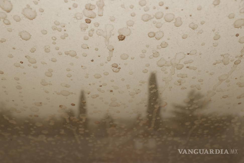 $!Polvo sahariano visto desde el interior de un coche en Boadilla del Monte (Madrid).EFE/Juan Carlos Hidalgo