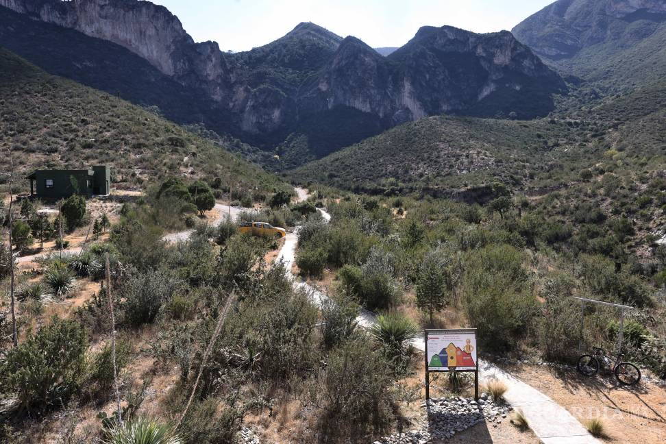 $!La infiltración del agua en el suelo evita que las lluvias escurran hacia zonas urbanas, actuando como prevención de desastres, explicó el especialista.