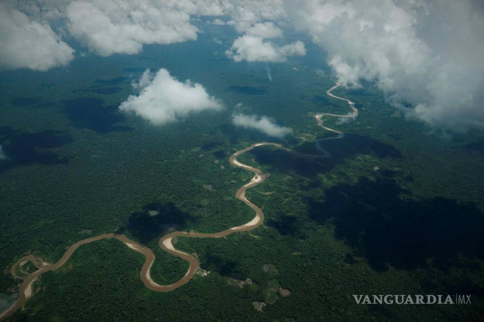 $!Vista aérea de un sector de la amazonía peruana, en la provincia Datem del Marañon. Perú ha perdido 4.1 millones de hectáreas de superficie vegetal.