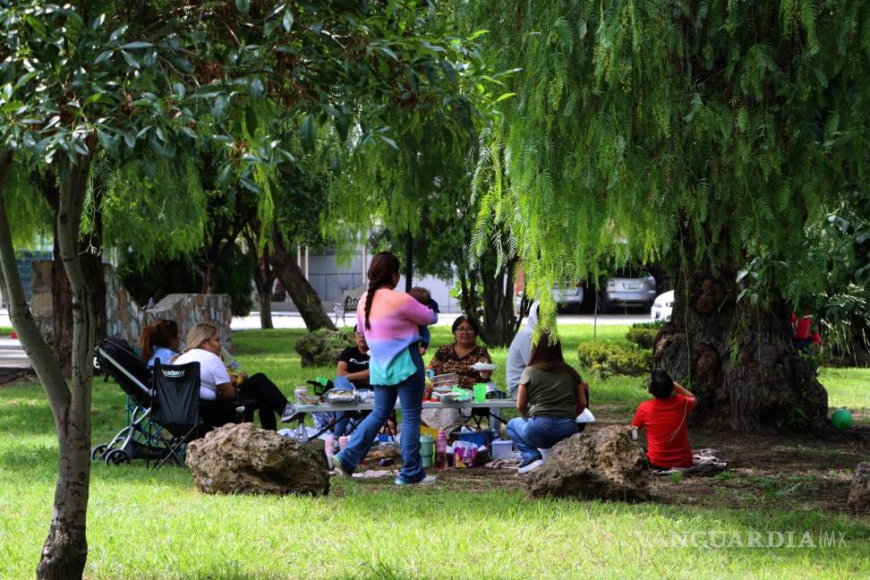 $!Ciudadanos disfrutan de espacios verdes renovados, como el parque El Paraíso, gracias a las recientes lluvias.