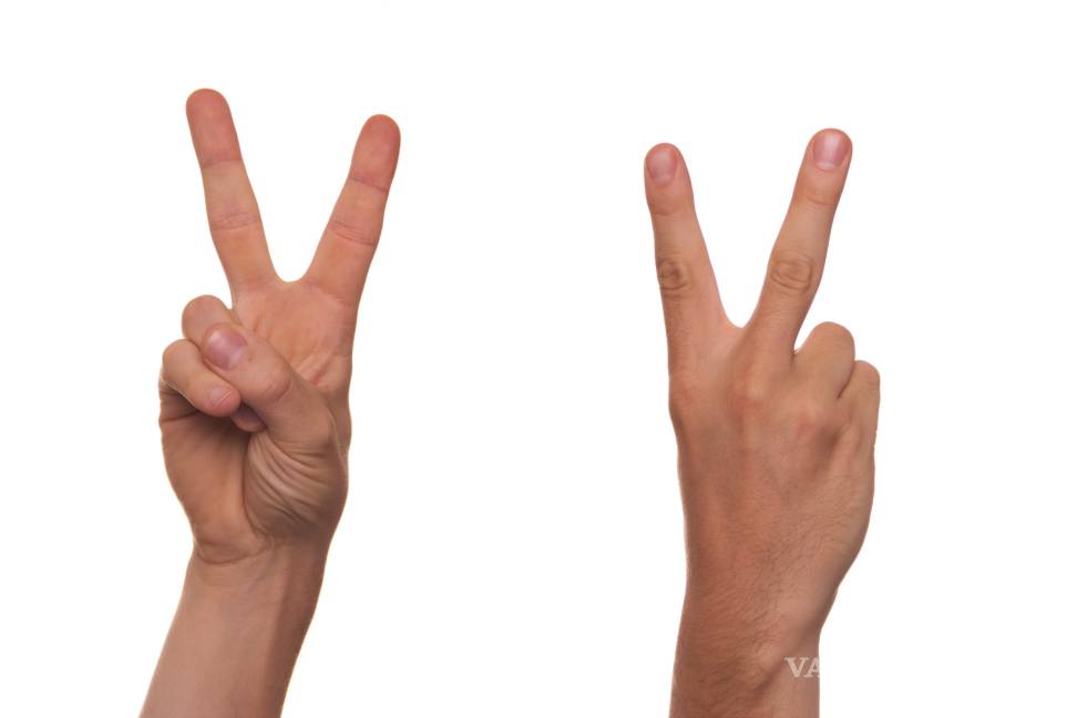 $!Con estos guantes las personas sordas podrán ponerle voz a su lenguaje de señas