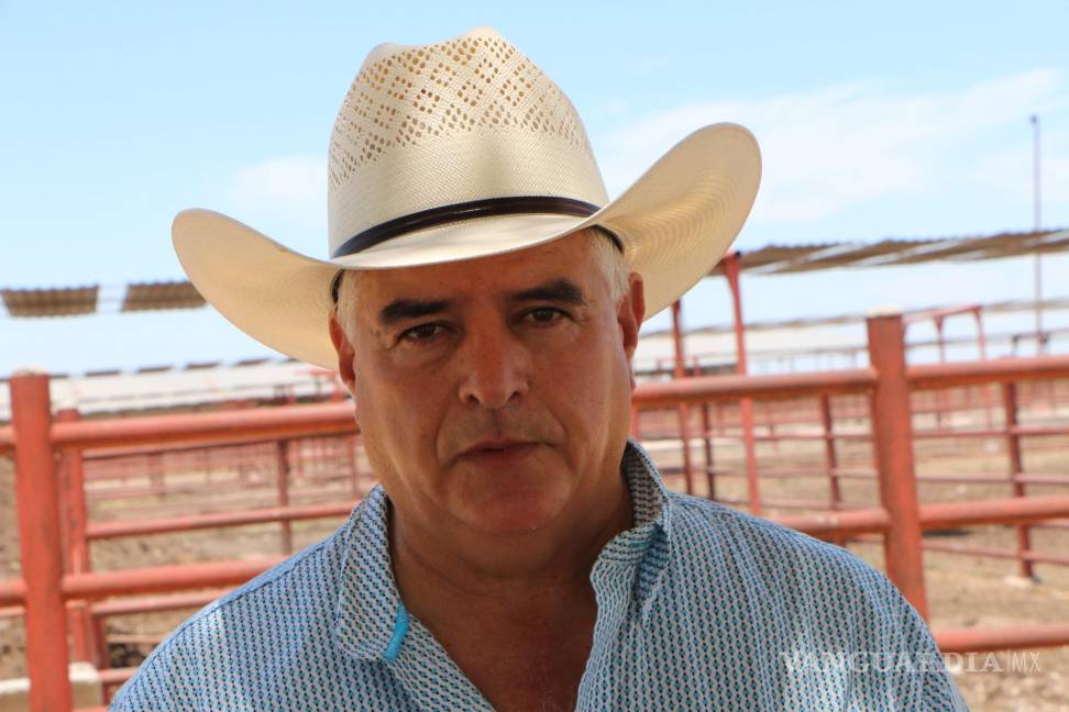 Luego de 13 años de trabajo, Coahuila espera elevar el estatus sanitario para exportar ganado a EU