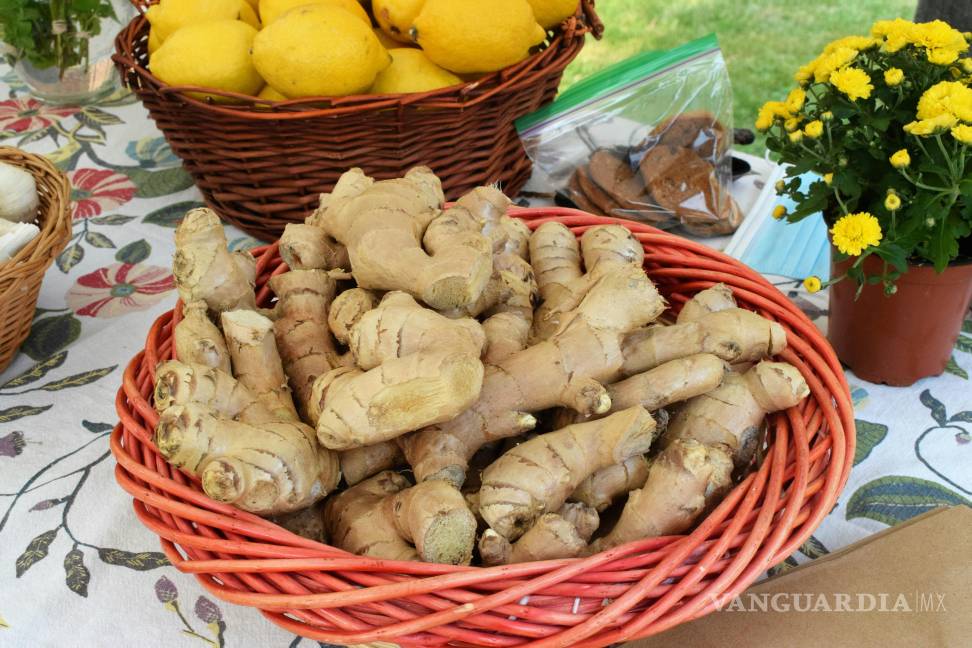 $!Consumido con moderación, puede ayudarte a aliviar náuseas, reducir ciertos tipos de dolor y apoyar tu salud metabólica e inmunológica.
