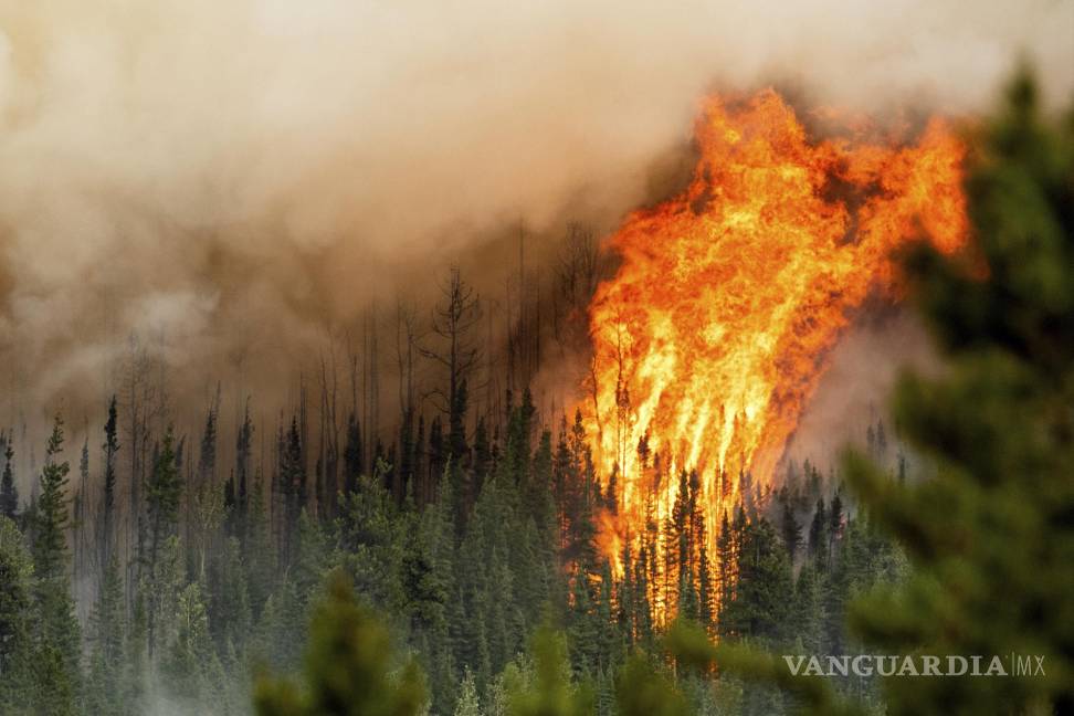 $!Las llamas del incendio forestal de Donnie Creek arden a lo largo de una cresta al norte de Fort St. John, Columbia Británica, el domingo 2 de julio de 2023.