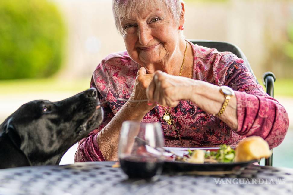$!IMSS modifica trámite de pensión de viudez en 2026: estos son los requisitos