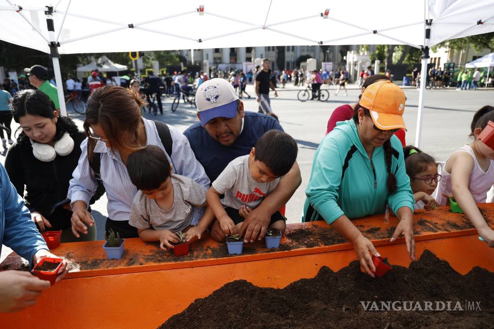 $!Música, danza, arte urbano y actividades educativas dieron vida a cada rincón del circuito.