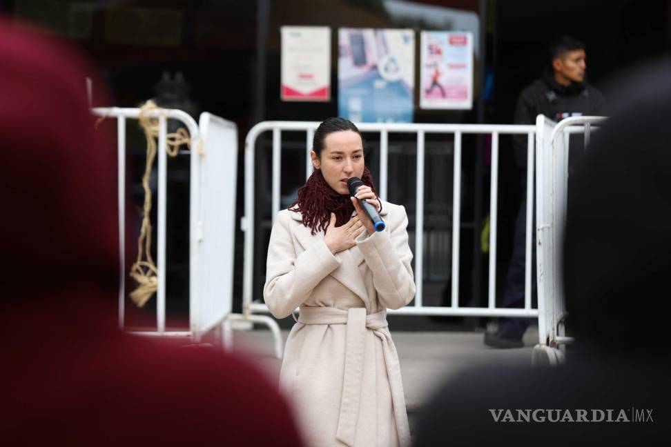 $!La diputada Lizbeth Ogazón Nava, manifestó que Morena dio la primera pelea en el Cabildo y continuará en el Congreso del Estado.