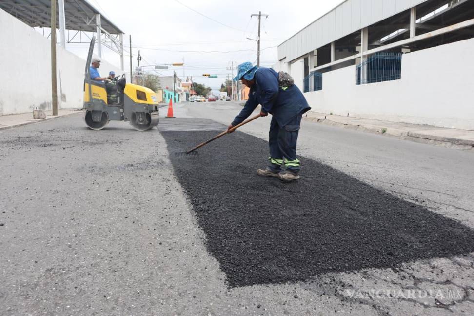 $!Brigadas de Medio Ambiente retiraron una palma de gran tamaño que representaba riesgo sobre diversos bulevares.