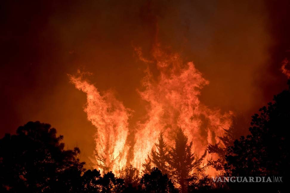 $!Incendio forestal inicia en la cabaña de un regio