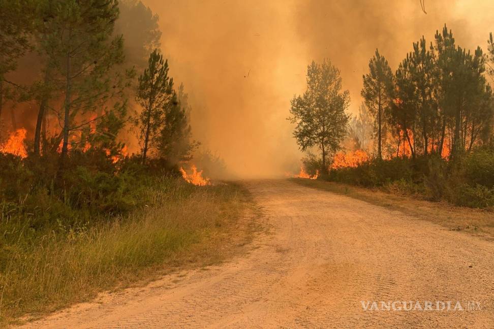 $!Esta foto proporcionada por el cuerpo de bomberos de la región de Gironde (SDIS33) muestra un incendio forestal cerca de Landiras, en el suroeste de Francia.
