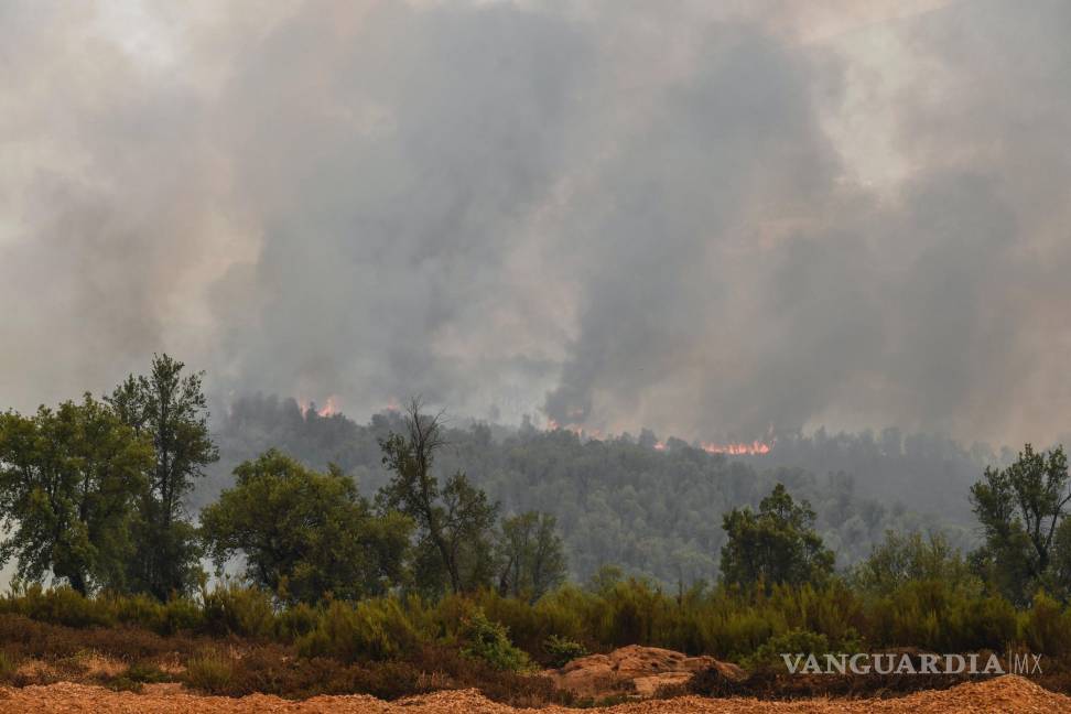 $!Los árboles se queman durante un incendio forestal causado por las temperaturas extremas en Larache, en el norte de Marruecos.