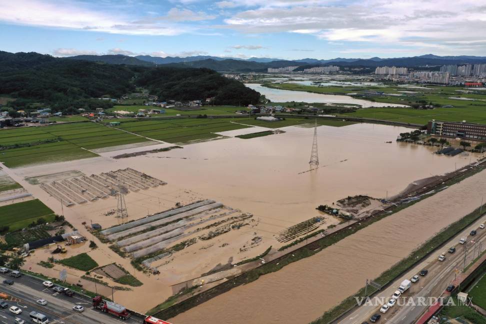 $!Las tierras de cultivo quedaron inundadas después del paso del tifón Hinnamnor en un pueblo de Pohang, Corea del Sur.
