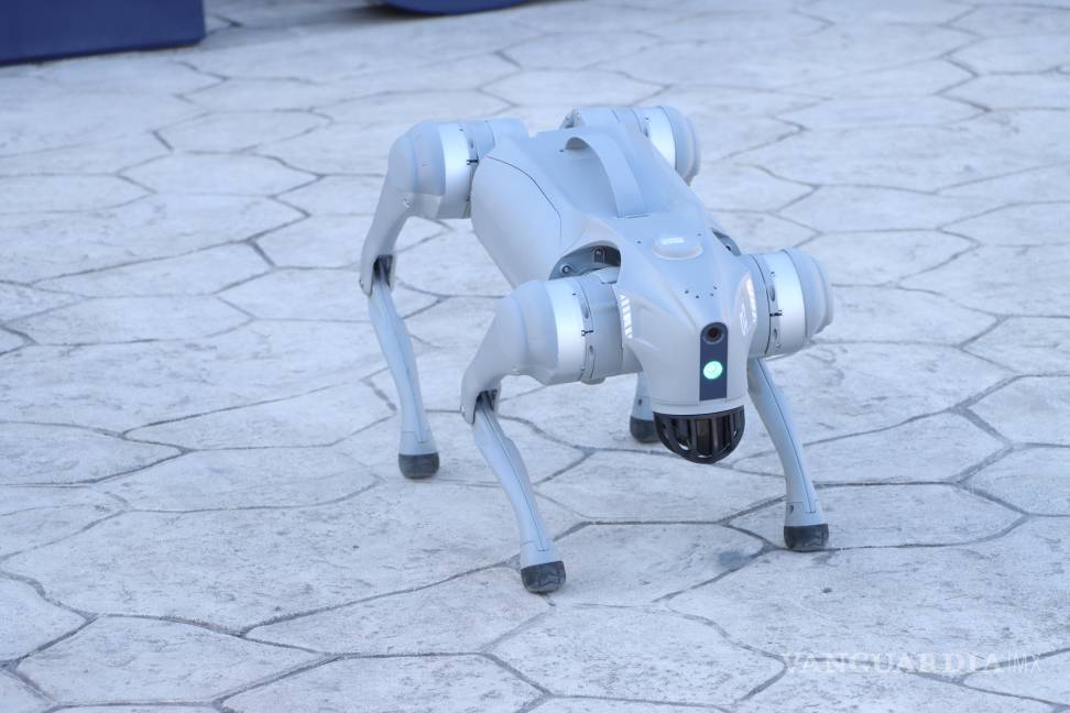 $!La presentación de los robots se realizó como un obsequio para estudiantes y docentes de la comunidad lasallista.