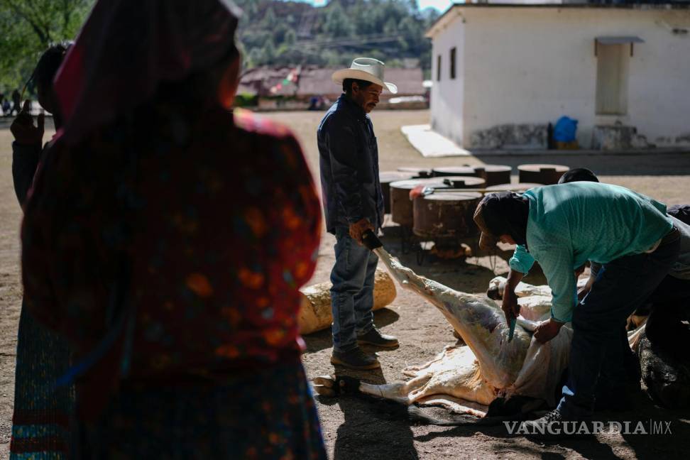 $!Hombres indígenas rarámuri retiran la piel de una vaca sacrificada antes de cocinarla para la ceremonia sagrada Yúmari para pedir por lluvia.