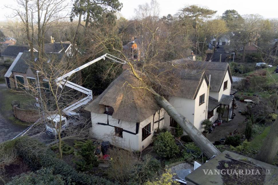 $!Un árbol después de caer sobre una cabaña con techo de paja después de fuertes vientos en Ashby de la Zouch, Inglaterra. AP/Joe Giddens/PA