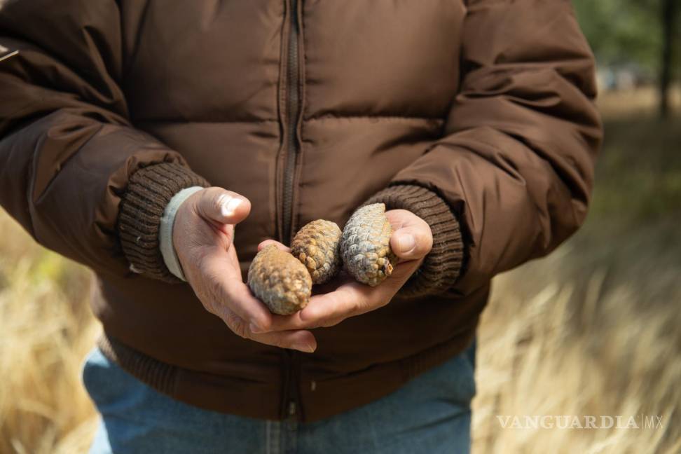 Eladio Cornejo: Desde la trinchera forestal