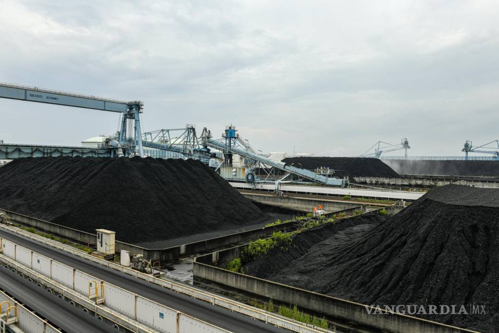$!Montones de carbón almacenados en la central térmica de Jera en Hekinan, Japón.