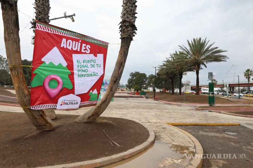 $!La acción fomenta la economía circular y el cuidado ambiental.