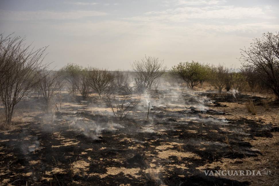 $!La ola de calor también ha provocado incendios en zonas verdes, agravando la sensación.