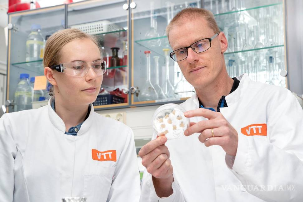 $!Investigadores Elviira Kärkkäinen y Heiko Rischer, en laboratorio. EFE/VTT