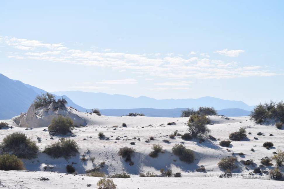 $!Coahuila, desierto bello y fértil