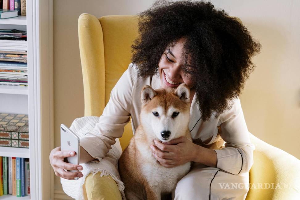 $!Algunas personas crean más contenido de mascotas que de sí mismos. Foto: Cottonbro Studio