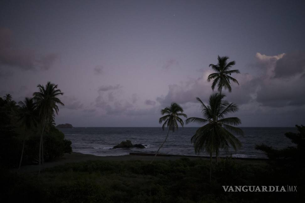 $!Palmeras en una playa en la isla caribeña de Tobago, en Trinidad y Tobago, el 21 de enero de 2022.