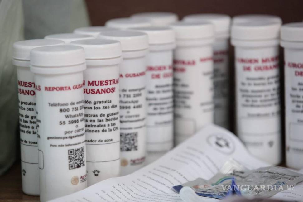 $!El sector ganadero y autoridades están reforzando las acciones para evitar que el gusano barrenador se presente en la localidad.