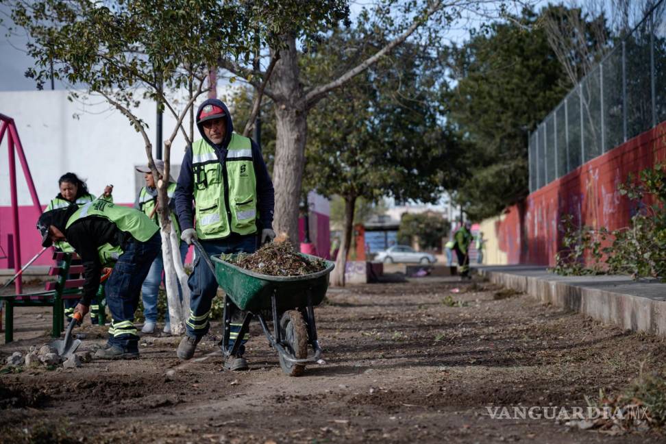 $!Totalmente transformada quedó la plaza púbica de la colonia Mirasierra.