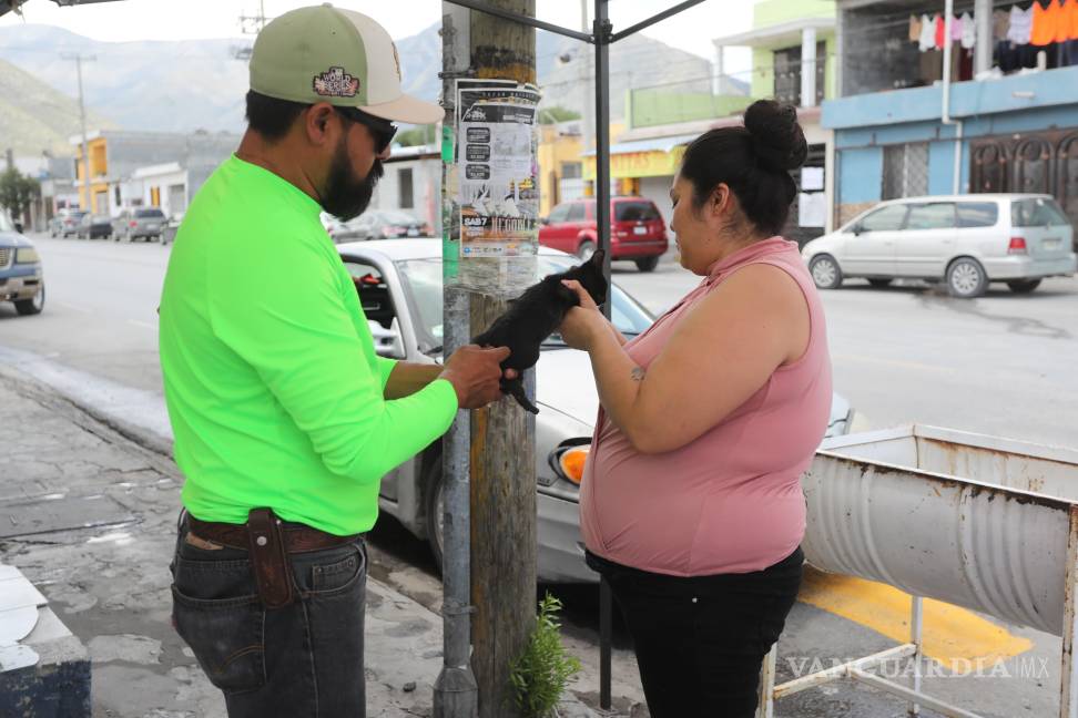 $!Personal del Módulo de Control Canino brindó atención gratuita a mascotas frente al Multideportivo El Sarape, con servicios como vacunación y baños antigarrapatas.
