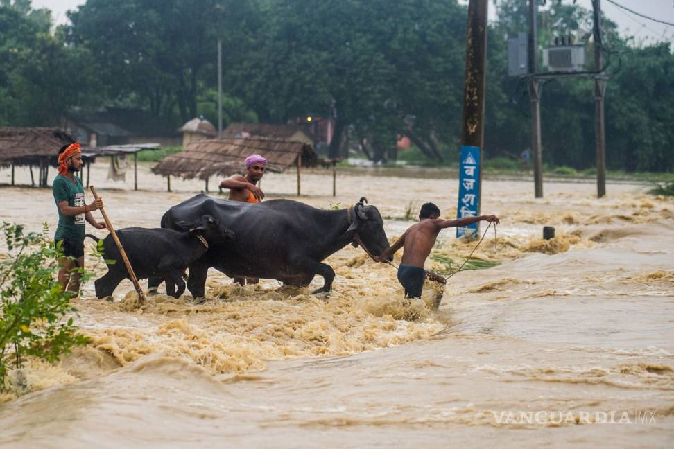 $!El desastre que es ignorado; inundaciones en India, Bangladesh y Nepal han dejado más de mil muertos